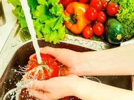 Brasil amplia papel no abastecimento global, mas custos pressionam o agro