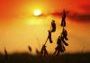 Em ano de El Niño, Mapa recebe da Embrapa 163 medidas para gestão de riscos climáticos no campo