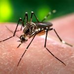 Dengue chega a 878 casos e três mortes em Cuiabá em 2026