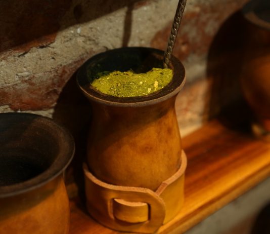 Dia do Gaúcho une tradição, produção de erva-mate e oportunidades no RS