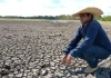 Governos estaduais reforçam preparação para impactos do El Niño no Brasil