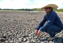Governos estaduais reforçam preparação para impactos do El Niño no Brasil