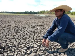 Governos estaduais reforçam preparação para impactos do El Niño no Brasil