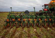 Fim do vazio sanitário em MT: El Niño aumenta atenção para início do plantio de soja