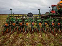 Fim do vazio sanitário em MT: El Niño aumenta atenção para início do plantio de soja
