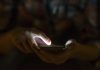 TikTok e Discord enfrentam novas medidas para proteger crianças na internet