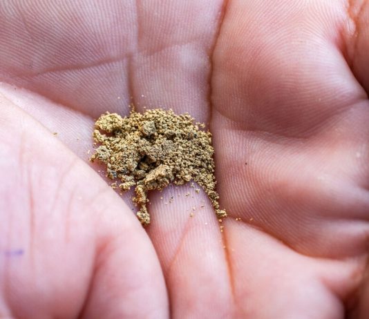 Empresas compraram R$ 537 mi em ouro de garimpos autuados por mercúrio irregular