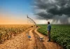 El Niño deve se fortalecer e aumentar riscos climáticos até 2027