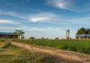 Fundo brasileiro mira R$ 100 milhões para comprar terras no Uruguai