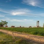Fundo brasileiro mira R$ 100 milhões para comprar terras no Uruguai