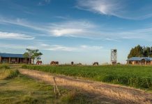 Fundo brasileiro mira R$ 100 milhões para comprar terras no Uruguai