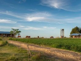 Fundo brasileiro mira R$ 100 milhões para comprar terras no Uruguai