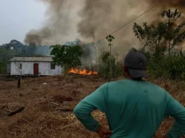 Incêndios no Amazonas levantam suspeita de ação criminosa, diz ministro
