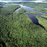 Brasil alcança menores taxas de desmatamento da série histórica na Amazônia e no Cerrado