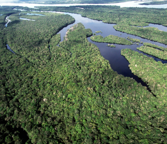 Brasil alcança menores taxas de desmatamento da série histórica na Amazônia e no Cerrado