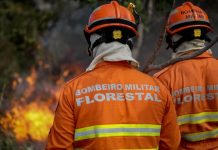 Corpo de Bombeiros combate 13 incêndios florestais em MT