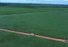 Riza vende fazenda em Mato Grosso por R$ 200 milhões e mira novos negócios