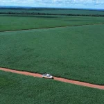 Riza vende fazenda em Mato Grosso por R$ 200 milhões e mira novos negócios