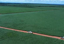 Riza vende fazenda em Mato Grosso por R$ 200 milhões e mira novos negócios