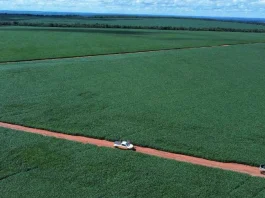 Riza vende fazenda em Mato Grosso por R$ 200 milhões e mira novos negócios