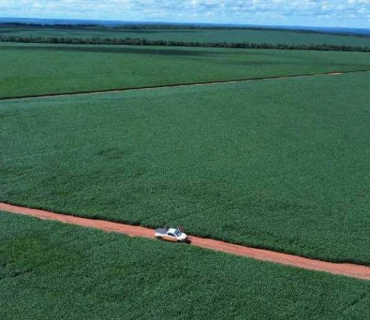 Riza vende fazenda em Mato Grosso por R$ 200 milhões e mira novos negócios