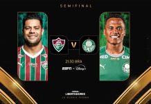 Fluminense e Palmeiras abrem semifinal da Libertadores nesta quarta