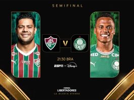 Fluminense e Palmeiras abrem semifinal da Libertadores nesta quarta