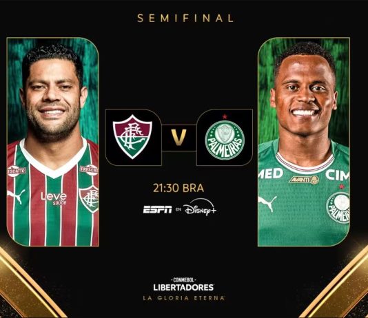 Fluminense e Palmeiras abrem semifinal da Libertadores nesta quarta