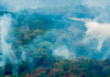 Fumaça de queimadas no Pará e Amazonas chega a Alta Floresta e acende alerta
