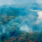 Fumaça de queimadas no Pará e Amazonas chega a Alta Floresta e acende alerta