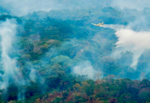 Fumaça de queimadas no Pará e Amazonas chega a Alta Floresta e acende alerta