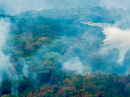 Fumaça de queimadas no Pará e Amazonas chega a Alta Floresta e acende alerta