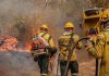 Incêndios no Amazonas: governo investiga envolvimento de possível organização criminosa