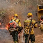 Incêndios no Amazonas: governo investiga envolvimento de possível organização criminosa