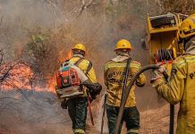 Incêndios no Amazonas: governo investiga envolvimento de possível organização criminosa