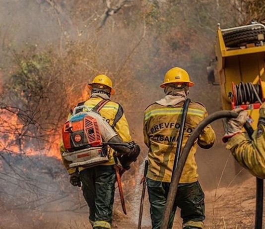 Incêndios no Amazonas: governo investiga envolvimento de possível organização criminosa