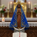 Feriado de Nossa Senhora Aparecida altera funcionamento de órgãos públicos em MT