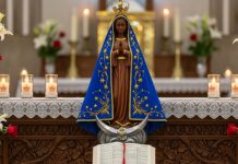 Feriado de Nossa Senhora Aparecida altera funcionamento de órgãos públicos em MT