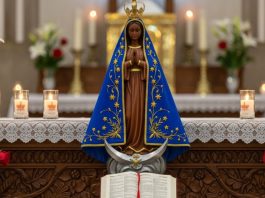 Feriado de Nossa Senhora Aparecida altera funcionamento de órgãos públicos em MT
