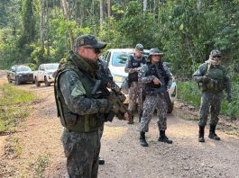Operação contra crimes ambientais apreende armas e munições em Mato Grosso