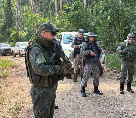 Operação contra crimes ambientais apreende armas e munições em Mato Grosso
