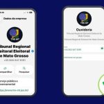 TRE-MT alerta para golpe virtual no WhatsApp usando imagem do Disque-Eleitor