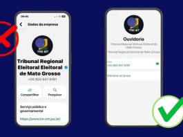 TRE-MT alerta para golpe virtual no WhatsApp usando imagem do Disque-Eleitor