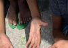 Trabalho infantil cai 9,2% no Brasil, mas ainda atinge 1,5 milhão de jovens