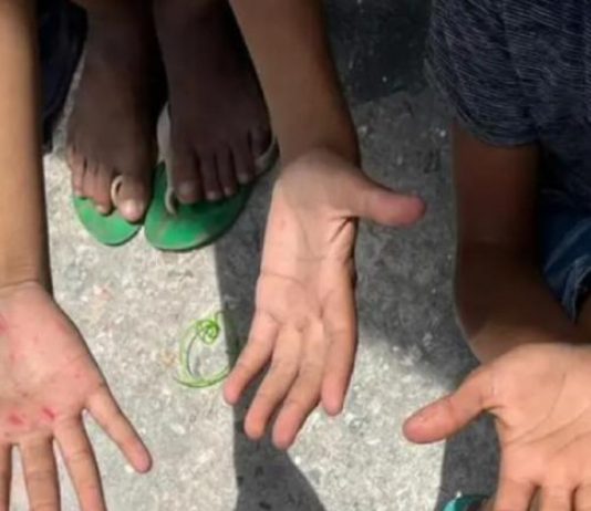 Trabalho infantil cai 9,2% no Brasil, mas ainda atinge 1,5 milhão de jovens
