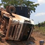 Caminhão com 44 bovinos tomba na MT-325 e motorista fica ferido em Alta Floresta