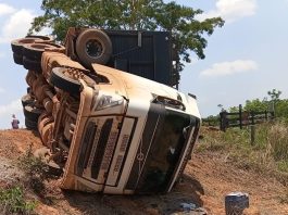 Caminhão com 44 bovinos tomba na MT-325 e motorista fica ferido em Alta Floresta