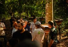 14ª Capacitação em Meliponicultura fortalece a criação de abelhas sem ferrão em Alta Floresta