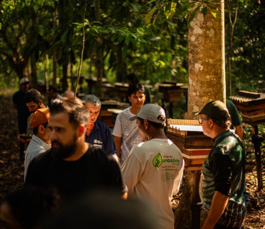 14ª Capacitação em Meliponicultura fortalece a criação de abelhas sem ferrão em Alta Floresta