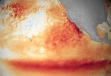 El Niño pode ficar muito forte e amplia extremos climáticos no Brasil